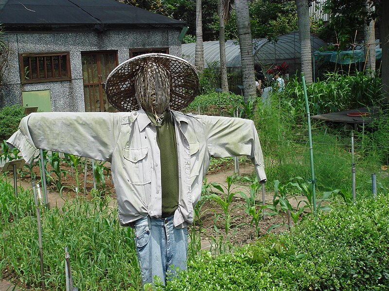 File:Scarecrow in Taipei Botanical Garden 20070429.jpg