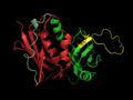 SEB, 一種細菌超級抗原 (PDB:3SEB)