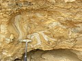 Seismite in sediments of the Dead Sea basin, Israel.