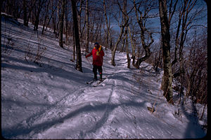 Shenandoah National Park SHEN9169.jpg