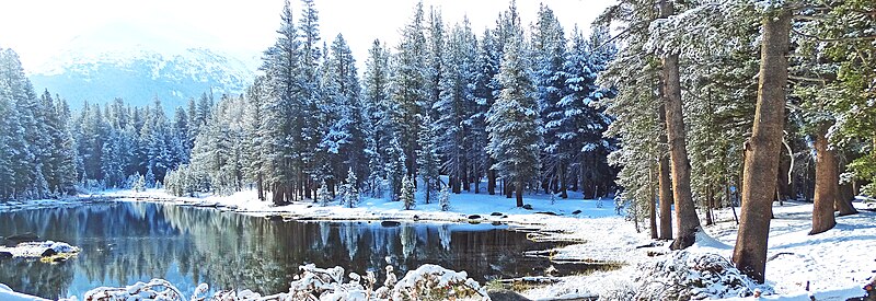 File:Snowy day, Yosemite NP 2015.jpg