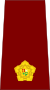 South Africa-Military Health Service-OF-3-1961.svg