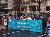 Natice Nations Rise - Stand with Standing Rock - march on Washington, D. C.