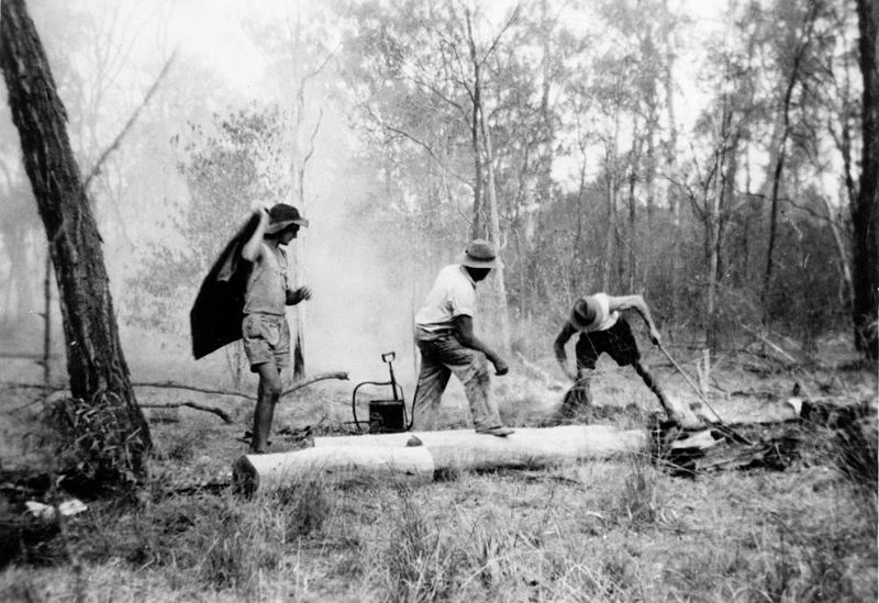 File:StateLibQld 2 136158 Firefighting in the Goovigen district, Queensland, 1952.jpg