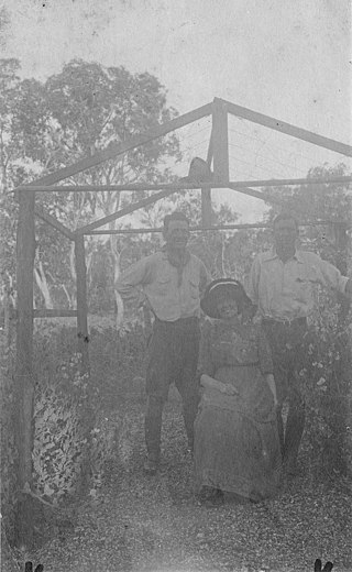 <span class="mw-page-title-main">Jean White-Haney</span> Australian botanist