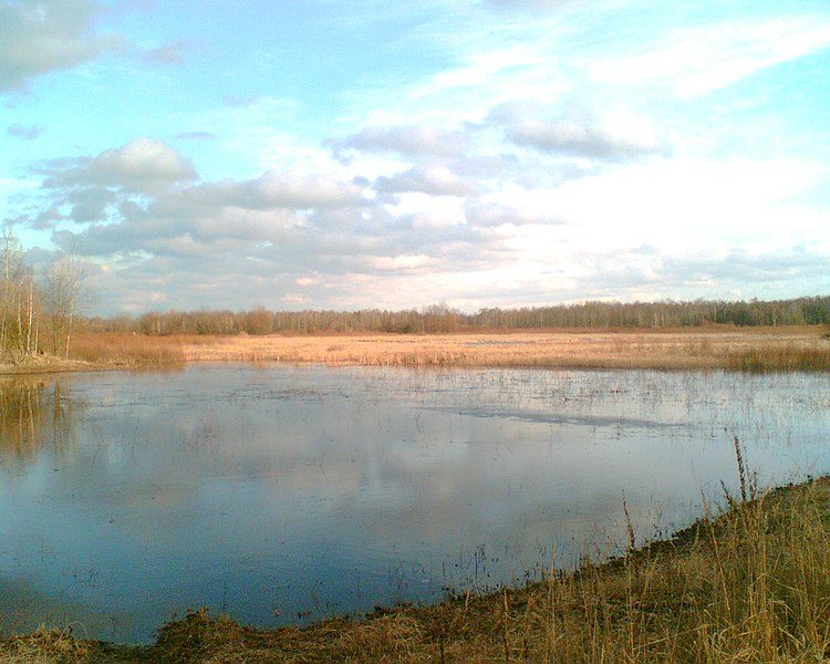 File:Staw Grabarka-okolice Białej Podlaskiej - panoramio.jpg