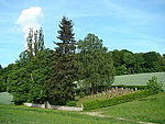 Jüdischer Friedhof Stein am Kocher