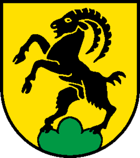 Steinhof blason