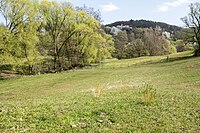 Fuchswiese near Stettbach