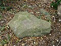 Scattered stones along by the White Horse Stone, a monolith near Blue Bell Hill.