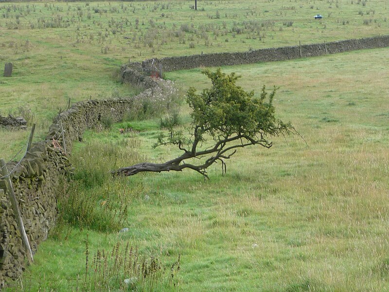 File:Stonewall near Carleton 06.jpg