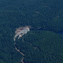 Dam borovice cukrová.jpg