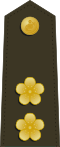 Taiwan-Marine-OF-4.svg