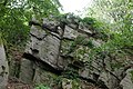 wikimedia_commons=File:Taunus near Gickelsburg in Friedrichsdorf 2021-08-12 10.jpg