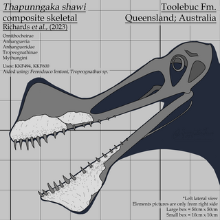<i>Thapunngaka</i> Genus of anhanguerid pterosaur from the Early Cretaceous