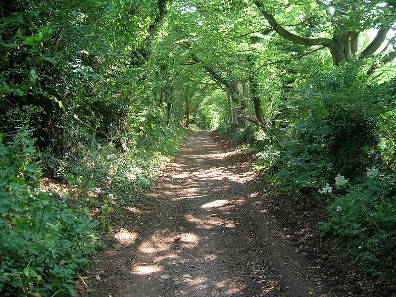 File:The Fosseway looking downhill - geograph.org.uk - 1936309.jpg