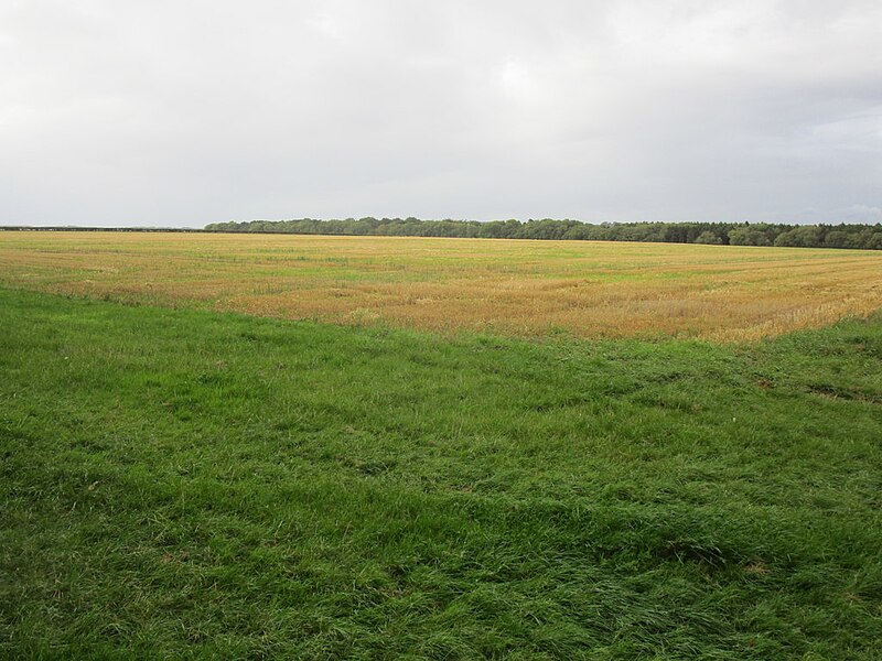 File:The Sheepwalk, Bainton - geograph.org.uk - 5898143.jpg