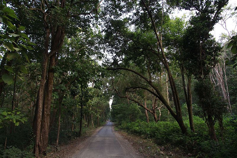 File:The Way to The Jungle (Jim Corbett).jpg