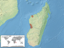 Trachylepis tandrefana distribution.png