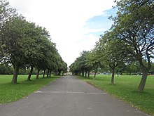Tree-lined path in Exhibition Park Tree lined path, Exhibition Park (geograph 3072285).jpg