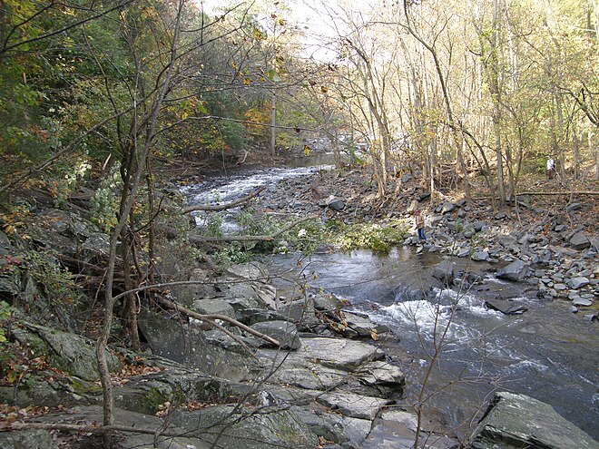 Trees lining the Little Patuxent River, which runs adjacent to the Savage Mill Trail Trees lining the Patuxent River.jpg
