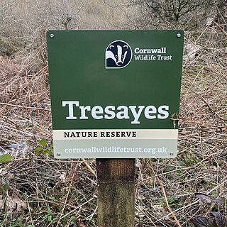 <span class="mw-page-title-main">Tresayes Quarry</span>