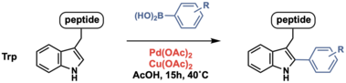 Trp arylation.png