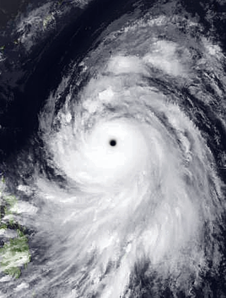 <span class="mw-page-title-main">Typhoon Rammasun (2008)</span> Pacific typhoon in 2008