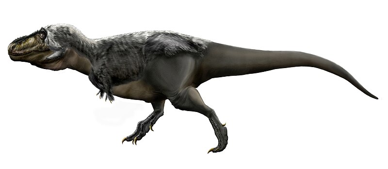 Tyrannosaurus - Wikipedia