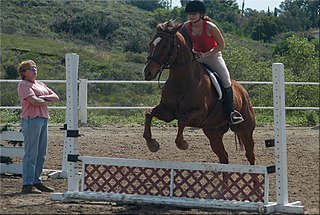 Riding instructor Person whose job it is to teach methods of horse riding