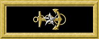 USN commodore rank insignia.jpg