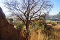 Unnamed Road, Jonathans, Lesotho - panoramio (4).jpg