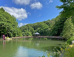 Teichanlage mit Holzbrücke