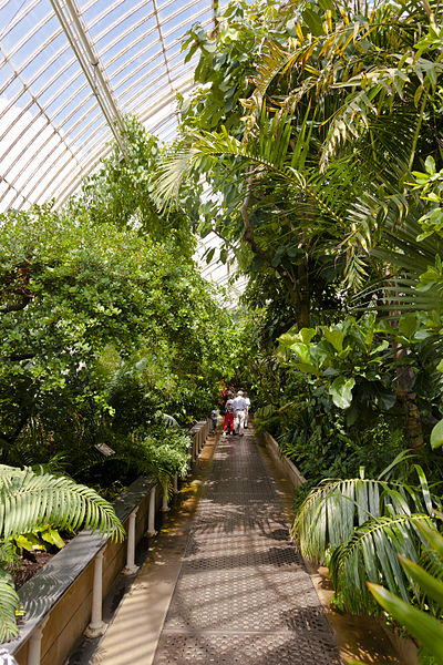 File:Upper walkway inside Palm House at Kew Gardens.jpg