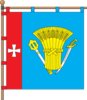 Flag of Velykyi Zhytyn