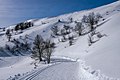 * Nomination Cross country skiing track at Val d'Azun (Col de Soulor area). Lavedan, Hautes-Pyrénees, France --Basotxerri 16:12, 6 February 2017 (UTC) * Promotion Good quality. --Poco a poco 21:18, 6 February 2017 (UTC)