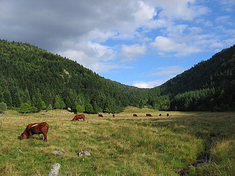 Parc naturel régional Livradois-Forez