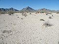 Miniatura para Laguna de Viesca