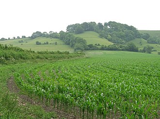 King's Play Hill View over crop towards Kings Play Hill - geograph.org.uk - 191734.jpg