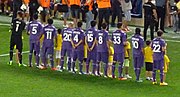 Miniatura per ACF Fiorentina 2013-2014