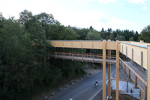 Waldbröl - Panarbora - Baumwipfelpfad + Nutscheidstraße (Panarbora-Aussichtsturm) 01 ies