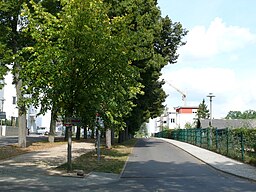 Wannsee Max-Liebermann-Allee