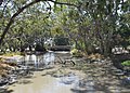 Yarriambiack Creek at Warracknabeal, Victoria}