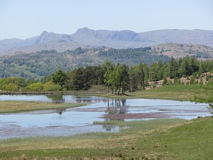 Wise Een Tarn near Hawkshead - geograph.org.uk - 3284000.jpg