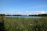 Dorfsee (Wollin)