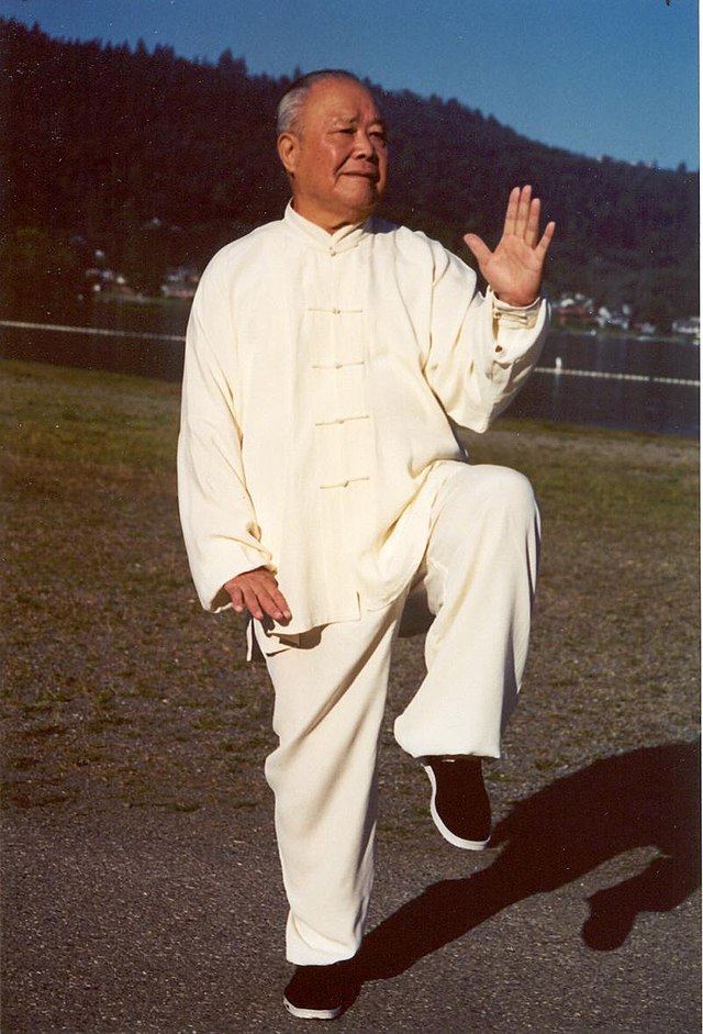 Home - Yang Family Tai Chi