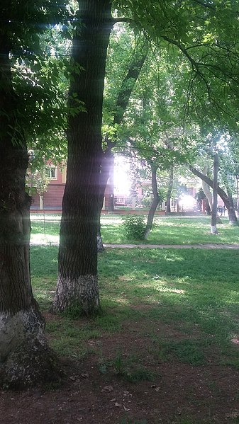File:Yerevan, English Park 19.jpg