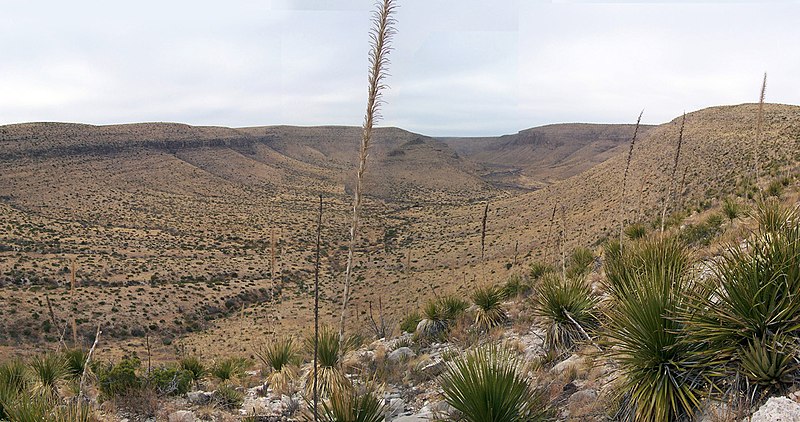 File:Yucca Kingdom - panoramio.jpg