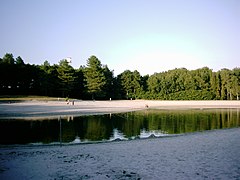 Forest Service Staphorst, Recreational pond 'de Zwarte Dennen'