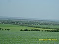 Вид на Ново-Савицкое - panoramio.jpg